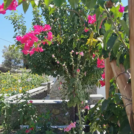 Anais Mykonos Town
