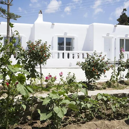 Anais Hotel apartamentowy Mykonos Town